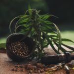 cbd oil